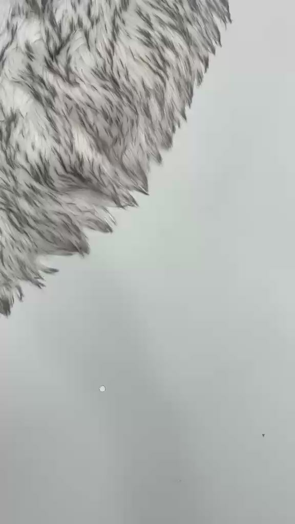 NEW LAUNCH